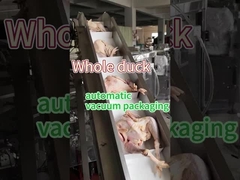 肉 冷凍食品包装機 食品級不?? 鋼304/316 真空保存密封